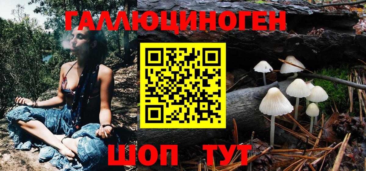 Галлюциногенные грибы прущие грибы  Галлюциногенные грибы GOLDEN TEACHER  где купить наркоту  Вход с VPN  Губаха 